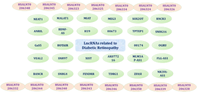 LncRNAs associated with Diabetic Retinopathy