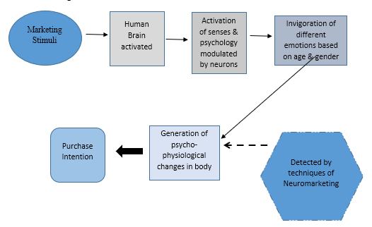Proposed nexus between psychology, emotions & neuromarketing.